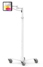 Compulocks MCRSTDEXWPMIP109 tablet security enclosure 10.9" Black, White