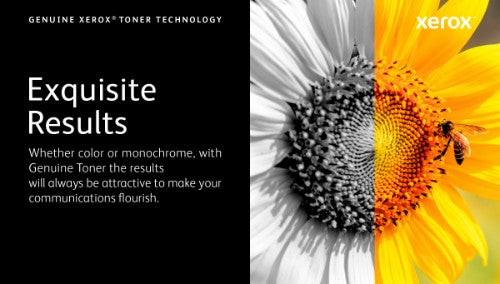 106R03480 Toner black, 5.5K pages