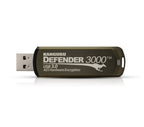 iStorage Kanguru Defender 3000 USB flash drive 256 GB USB Type-C 3.2 Gen 1 (3.1 Gen 1) Gray