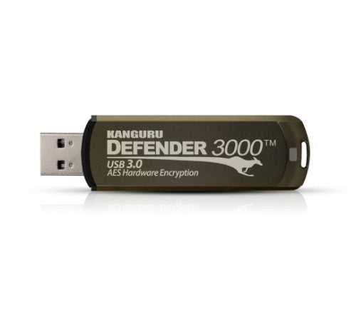 iStorage Kanguru Defender 3000 USB flash drive 256 GB USB Type-C 3.2 Gen 1 (3.1 Gen 1) Gray