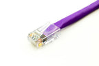 Axiom Cat6, 3ft networking cable Purple 35.4" (0.9 m) U/UTP (UTP)