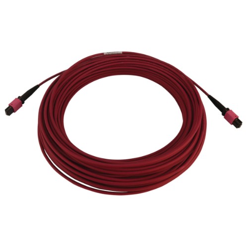 Tripp Lite N845B-25M-12-MG InfiniBand/fibre optic cable 984.3" (25 m) MPO/MTP OFNR Black, Magenta