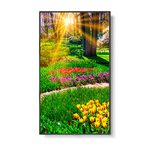 Sharp M491-PT signage display Digital signage flat panel 49" LCD Wi-Fi 500 cd/m² Black Touchscreen 24/7