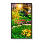 Sharp M491-PT signage display Digital signage flat panel 49" LCD Wi-Fi 500 cd/m² Black Touchscreen 24/7