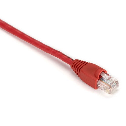 Black Box Cat5e UTP 6m networking cable Red 236.2" (6 m) U/UTP (UTP)