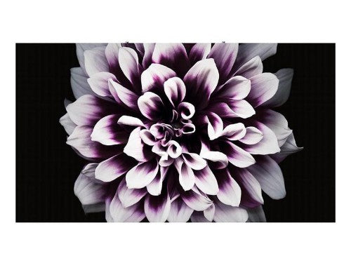 Samsung The Wall Professional (P0.8)