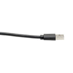 Tripp Lite U038-C13 USB cable USB 3.2 Gen 2 (3.1 Gen 2) 157.5" (4 m) USB A USB C Black