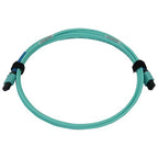 Tripp Lite N846B-02M-24-P InfiniBand/fibre optic cable 78.7" (2 m) MPO/MTP OFNR Aqua color, Black, Blue