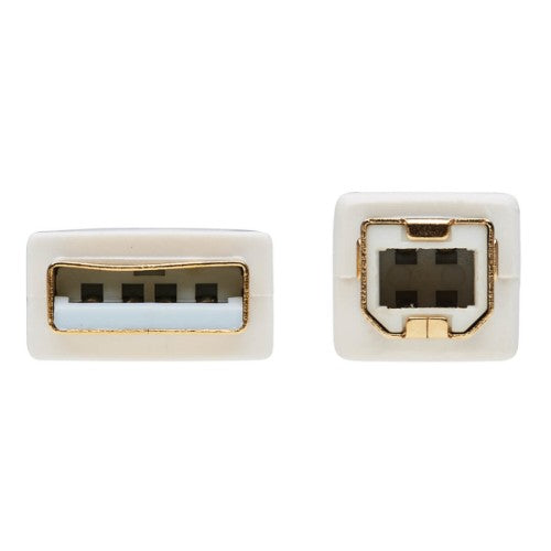 Tripp Lite U022AB-006-WH USB cable USB 2.0 72" (1.83 m) USB A USB B White