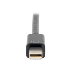 Tripp Lite P137-06N-HD4K6B video cable adapter 5.91" (0.15 m) HDMI Type A (Standard) Mini DisplayPort Black