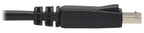 Eaton P580-006-2PK DisplayPort cable 70.9" (1.8 m) Black