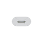 Apple MUQX3ZM/A White