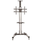StarTech.com STNDMTV70 signage display mount 75" Black, Stainless steel