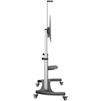 StarTech.com STNDMTV100 TV mount 100" Black, Silver