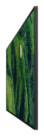 Sony BZ35P Digital signage flat panel 55" LED Wi-Fi 500 cd/m² 4K Ultra HD Black Android 24/7