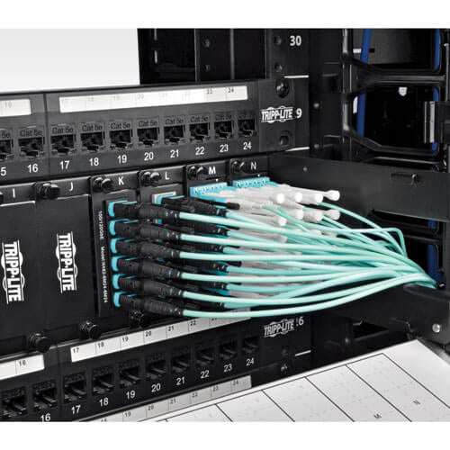 Tripp Lite N844-10M-12-P InfiniBand/fibre optic cable 396.1" (10.1 m) MTP Black, Turquoise
