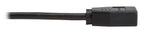 Tripp Lite P130-06N-DP-4K6 video cable adapter 10" (0.254 m) HDMI Type A (Standard) DisplayPort + USB Type-A Black