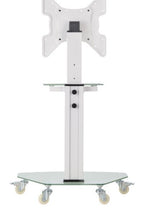 Eaton DMCS3255SG62W TV mount/stand 55" White