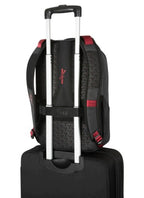 Targus 15.6 40TH ANNIVERSARY CYPRESS WITH ECOSMART backpack Rucksack Gray, Black Foam