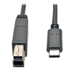Tripp Lite U422-003-G2 USB cable USB 3.2 Gen 2 (3.1 Gen 2) 35.4" (0.9 m) USB C USB B Black