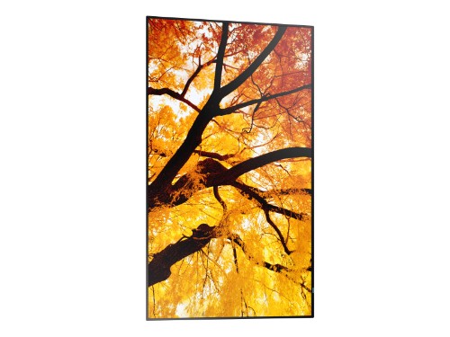 Sharp MultiSync M552 Digital signage flat panel 55" LCD 550 cd/m² 4K Ultra HD Black Touchscreen
