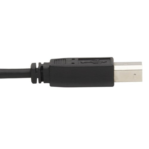Tripp Lite P783-006-DPU KVM cable Black 72" (1.83 m)