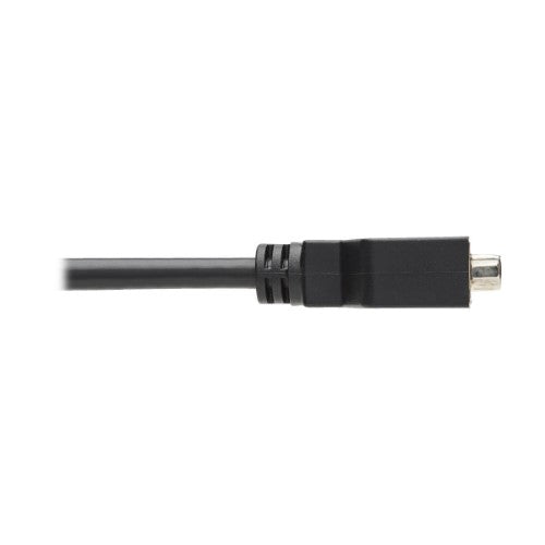 Tripp Lite P134-000 video cable adapter 5.91" (0.15 m) Displayport DVI-I Black