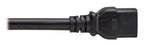 Eaton P036-EN6-6 power cable Black 70.9" (1.8 m) C20 coupler C19 coupler