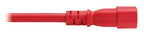 Eaton P037-2P5-ARD power cable Red 29.9" (0.76 m) C14 coupler C21 coupler