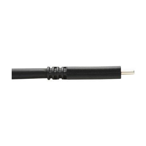 Tripp Lite U421-20N-G2 USB cable USB 3.2 Gen 2 (3.1 Gen 2) 19.3" (0.49 m) USB C Black