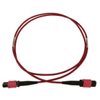 Tripp Lite N845B-01M-12-MG InfiniBand/fibre optic cable 39.4" (1 m) MPO/MTP OFNR Black, Magenta