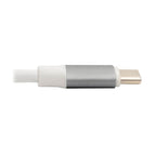 Tripp Lite U442-DOCK10-S laptop dock/port replicator USB 3.2 Gen 2 (3.1 Gen 2) Type-C Silver