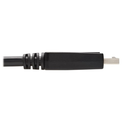 Tripp Lite P581-010 video cable adapter 120.1" (3.05 m) DisplayPort DVI-D Black, White