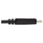Tripp Lite P581-010 video cable adapter 120.1" (3.05 m) DisplayPort DVI-D Black, White