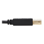 Tripp Lite P782-006-HA KVM cable Black 72" (1.83 m)
