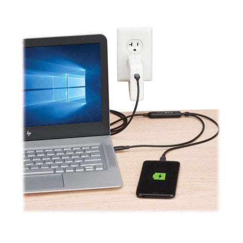 Eaton U420P-2X4-140W USB cable USB 2.0 48" (1.22 m) USB C 2 x USB C 0.48 Gbit/s Black, Gray