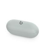 Apple Beats Solo Buds Headset True Wireless Stereo (TWS) In-ear Calls/Music Bluetooth Gray