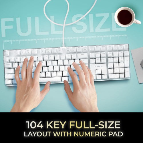 Adesso AKB-680UW keyboard Home/Office USB QWERTY US English White