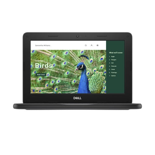 DELL Chromebook 3120 Intel® N N100 11.6" HD 4 GB LPDDR5-SDRAM 64 GB eMMC Wi-Fi 6 (802.11ax) ChromeOS Black US English