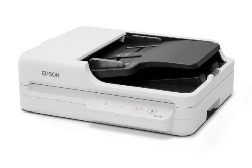 Epson DS-1730 Flatbed & ADF scanner 1200 x 1200 DPI A4 Black, White