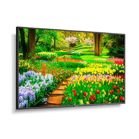 Sharp M491-PT signage display Digital signage flat panel 49" LCD Wi-Fi 500 cd/m² Black Touchscreen 24/7