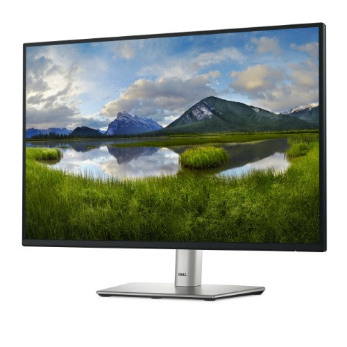 DELL Pro Plus P2425E computer monitor 24.07" 1920 x 1200 pixels WUXGA LCD Black