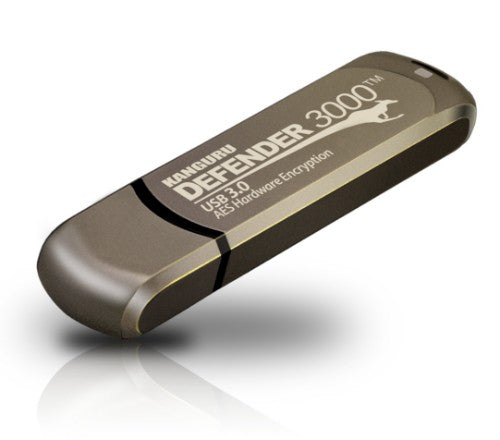iStorage Kanguru Defender 3000 USB flash drive 256 GB USB Type-C 3.2 Gen 1 (3.1 Gen 1) Gray