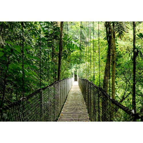 HP EliteBook 6 G1a 14 inch Notebook Next Gen AI PC Wolf Pro Security Edition Silver