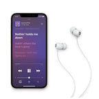 Apple Flex Headset Wireless In-ear Calls/Music Bluetooth Gray