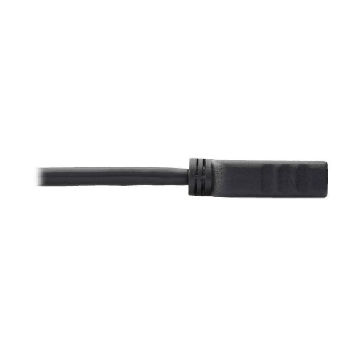 Tripp Lite P136-001 video cable adapter 11.8" (0.3 m) DisplayPort HDMI Black
