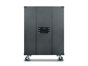 iStarUSA WD-1560 rack cabinet 15U Freestanding rack Black