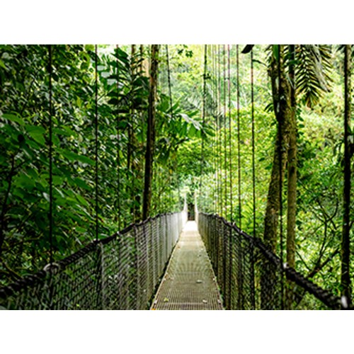 HP EliteBook 6 G1a 14 inch Notebook Next Gen AI PC Wolf Pro Security Edition Silver