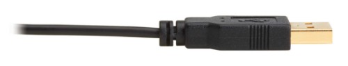 Tripp Lite P130-06N-DP-4K6 video cable adapter 10" (0.254 m) HDMI Type A (Standard) DisplayPort + USB Type-A Black