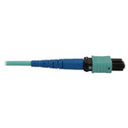 Tripp Lite N846B-02M-24-P InfiniBand/fibre optic cable 78.7" (2 m) MPO/MTP OFNR Aqua color, Black, Blue
